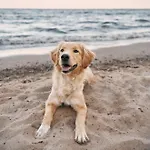 Strandleben 5 Sterne An Der Ostsee! * Вустров