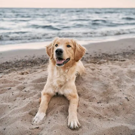Strandleben 5 Sterne An Der Ostsee! * 欧巴德伍斯图
